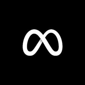 logo2
